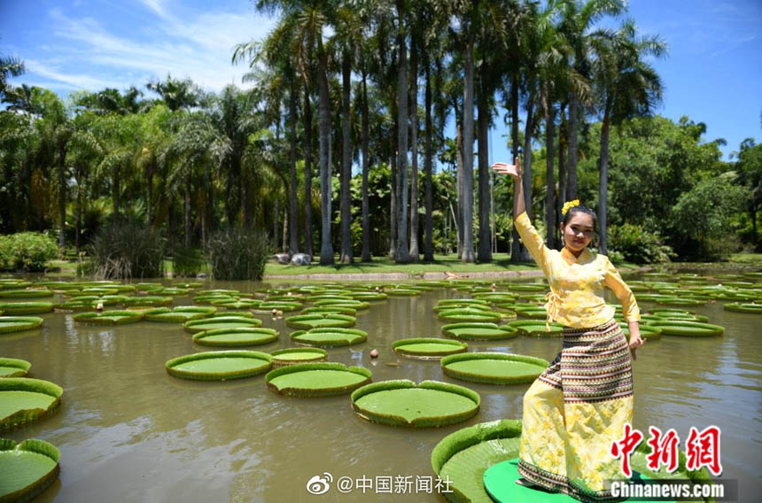 ???? ???? .. ???? ???? ??? ???? ??? ??? ?????