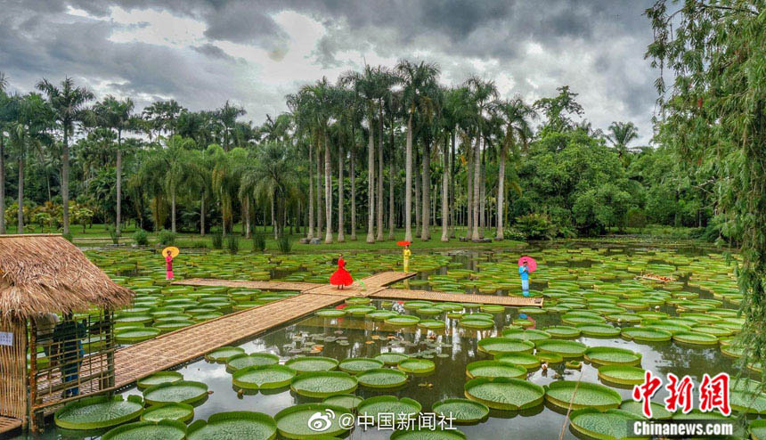 ???? ???? .. ???? ???? ??? ???? ??? ??? ?????