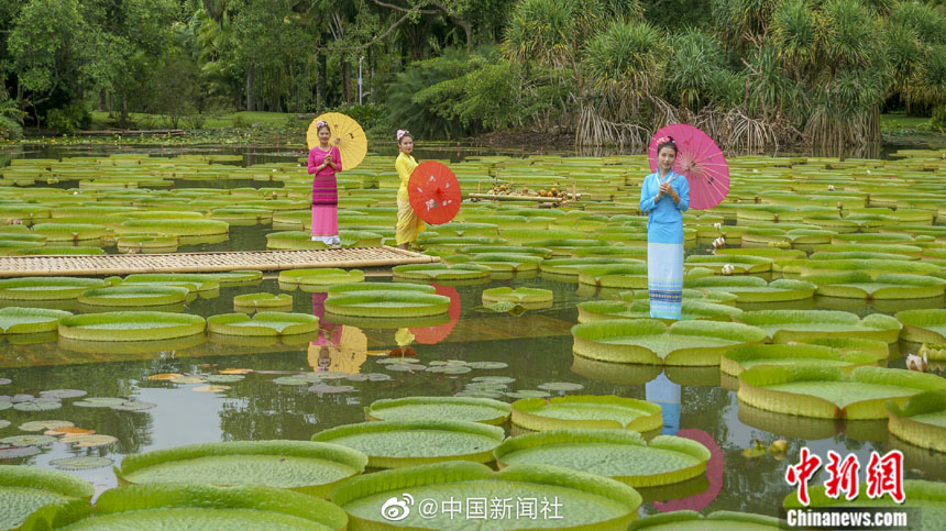 ???? ???? .. ???? ???? ??? ???? ??? ??? ?????