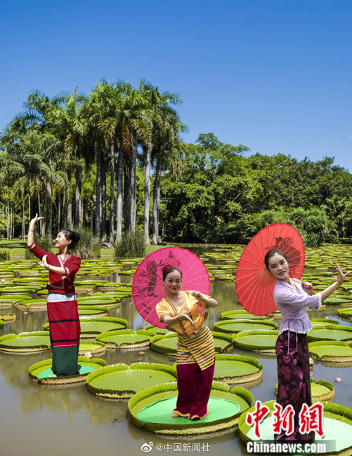 ???? ???? .. ???? ???? ??? ???? ??? ??? ?????