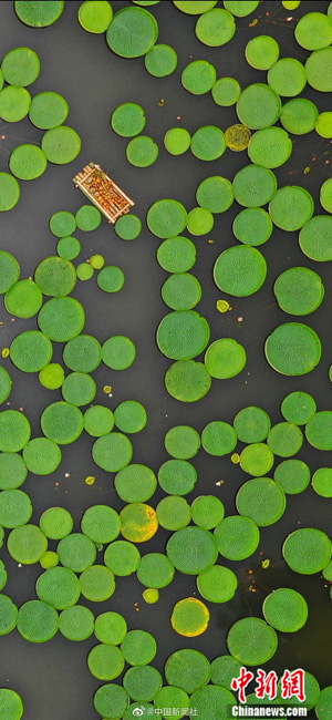 ???? ???? .. ???? ???? ??? ???? ??? ??? ?????