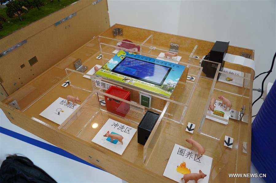 ?????? ??????? ????? ????? ????? ??????? ?????? ???????