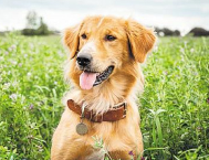 ????? ????? ???? ???? ?????? ???? ??????? ?? ????????? ???????