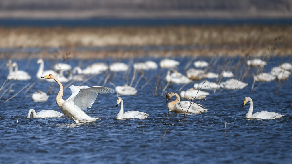 ????? ???? ???? ?? 10 ???? ????? ??????