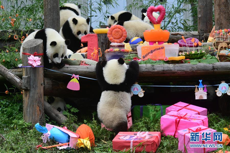 ???? ??? ????? ?????? ?? 18 ?? ?????