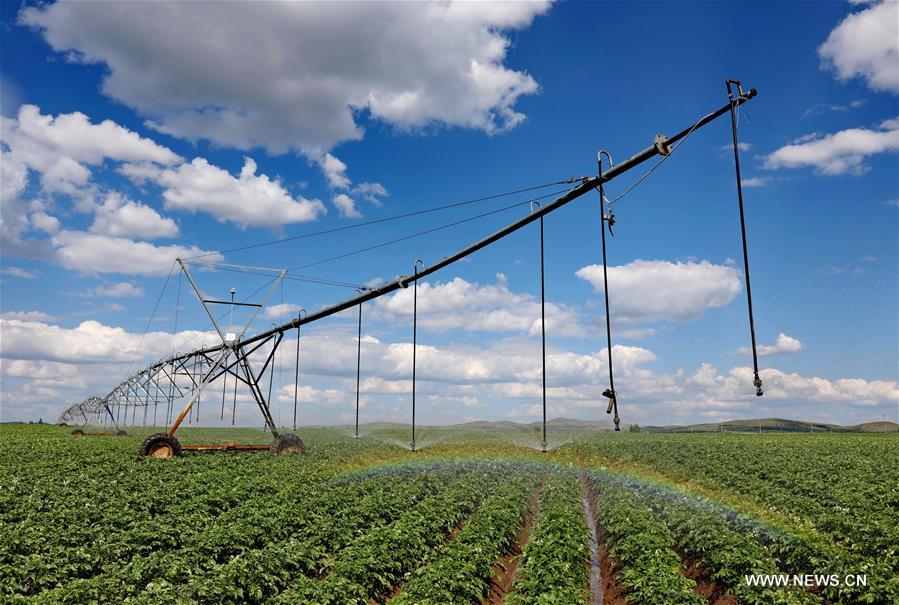 ?????? ???? ??????? ???? ??????? ???????? ????? ?????? ?? ????? ?????