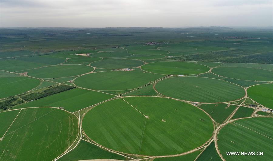 ?????? ???? ??????? ???? ??????? ???????? ????? ?????? ?? ????? ?????