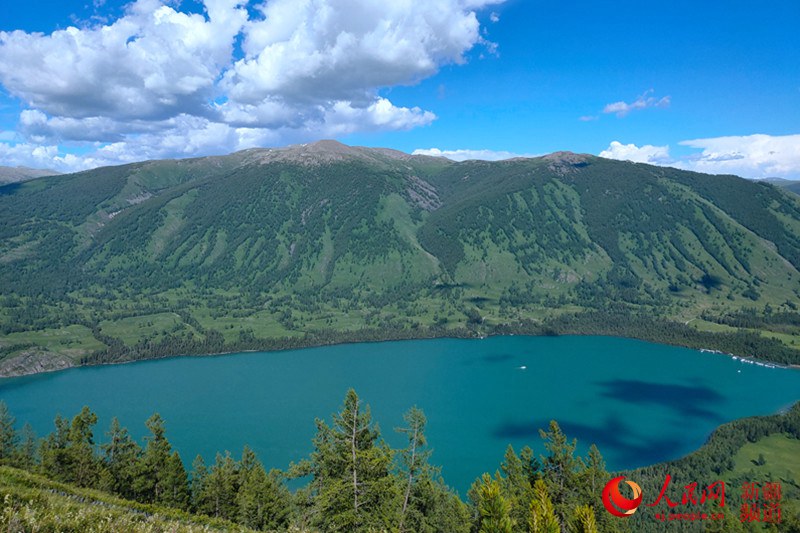  ???? ?????? ???? ????? ????? ?????? 