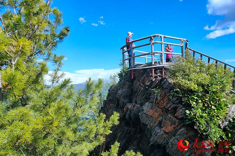  ???? ?????? ???? ????? ????? ?????? 