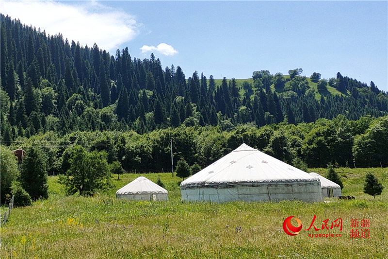 ??? ?????? ?? ????? ???? ???????? ????? ??????