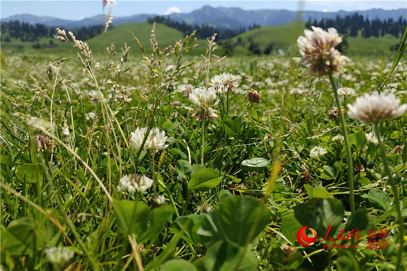 ??? ?????? ?? ????? ???? ???????? ????? ??????