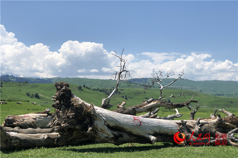 ??? ?????? ?? ????? ???? ???????? ????? ??????