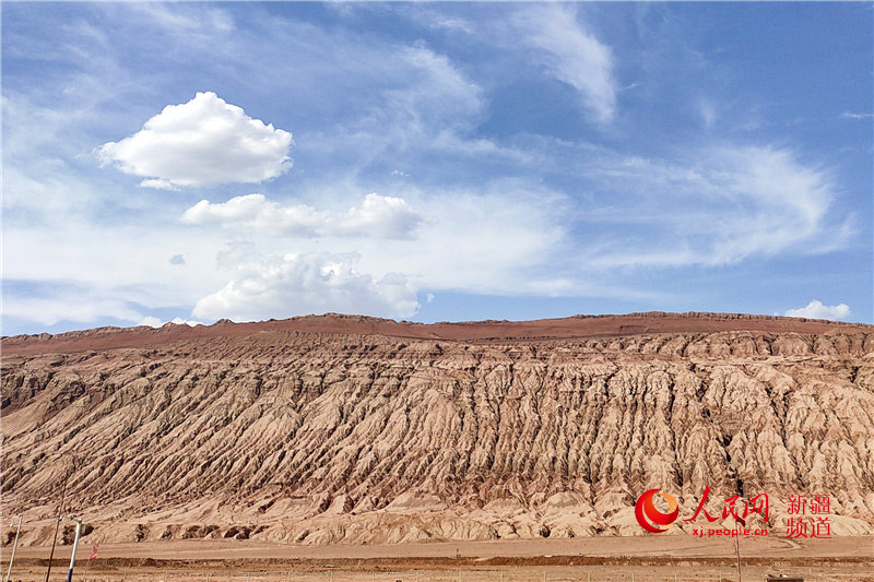 ????? ?????? ??????? ??? ????? ???? ?????? ??????