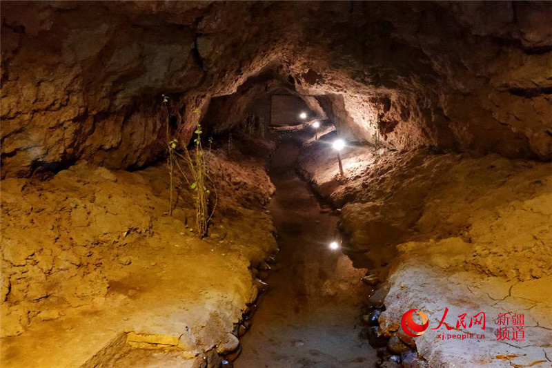 ????? ?????? ??????? ??? ????? ???? ?????? ??????