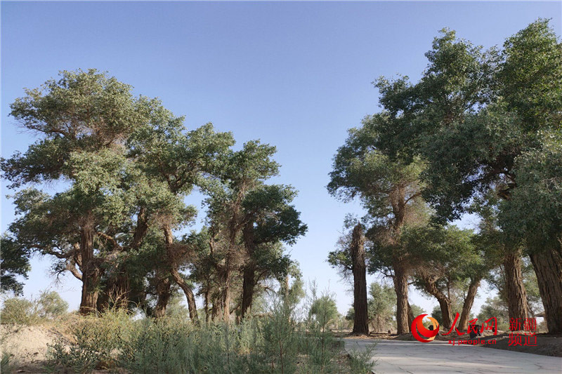 ????: ????? ??????? ???????? ?? ????? ??? ??? ?????????