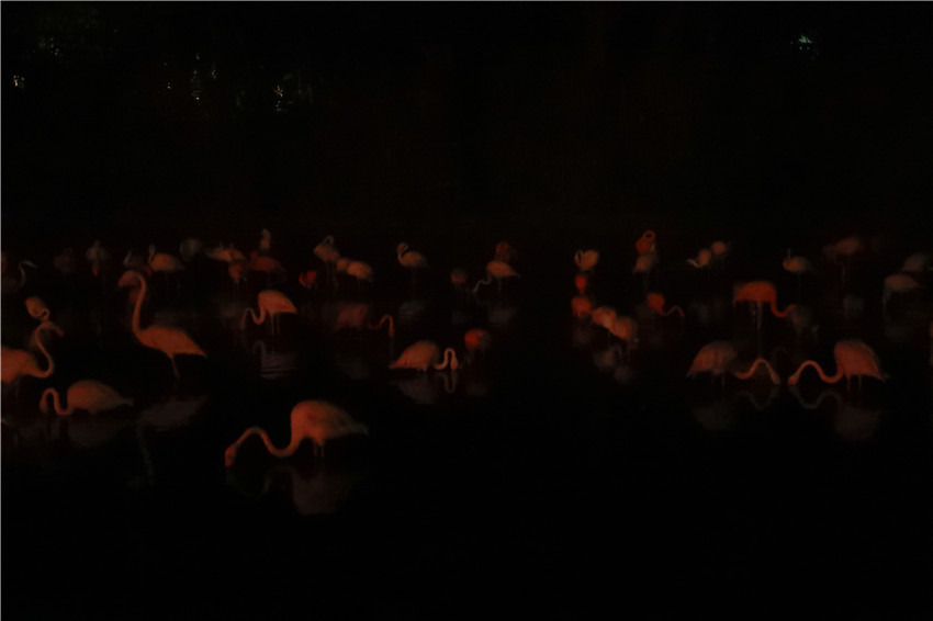 ???????:  ????? ????? ????????? ?????? ?? ?????