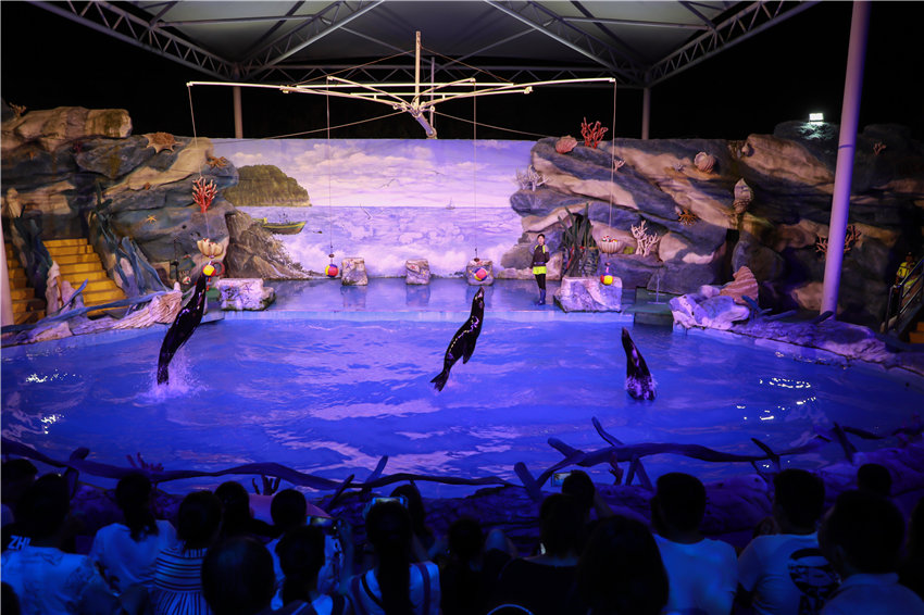 ???????:  ????? ????? ????????? ?????? ?? ?????