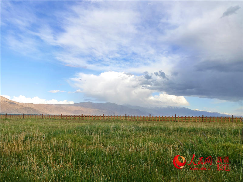  ????? ???? ?????? ?????????