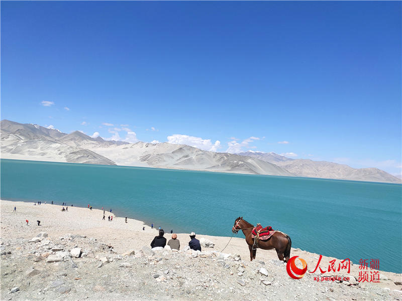  ????? ???? ?????? ?????????