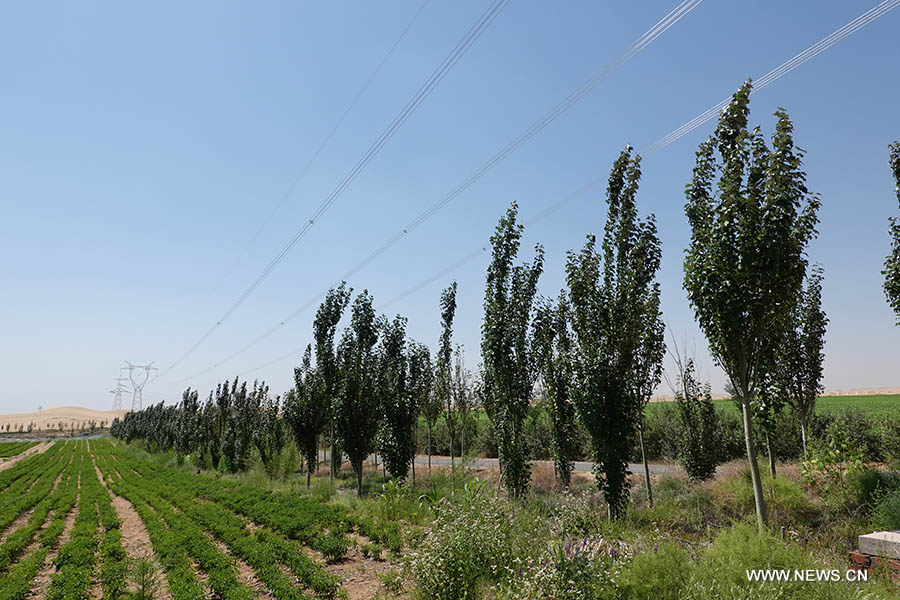 ???? ??? ???? ????? ????? ????? ?????? ??????? ??? ???? ????? ??????? ??????? ?? ????? ??????? ??????