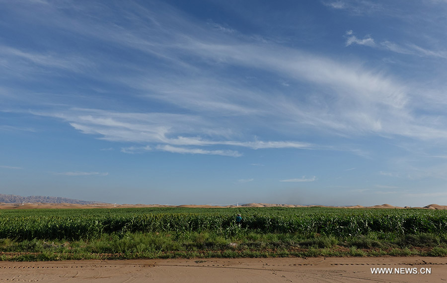 ???? ??? ???? ????? ????? ????? ?????? ??????? ??? ???? ????? ??????? ??????? ?? ????? ??????? ??????