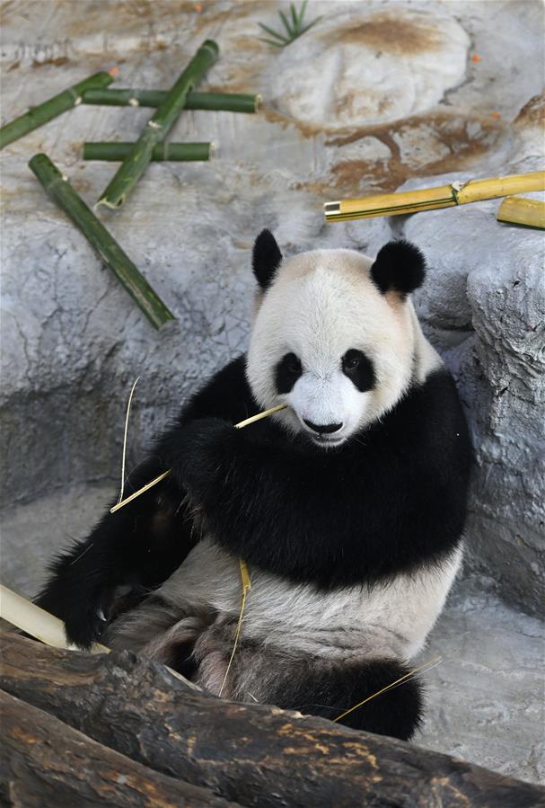 ??? ?????? ???? ????? ????? ?????? ?? ?????? ?????? ???????