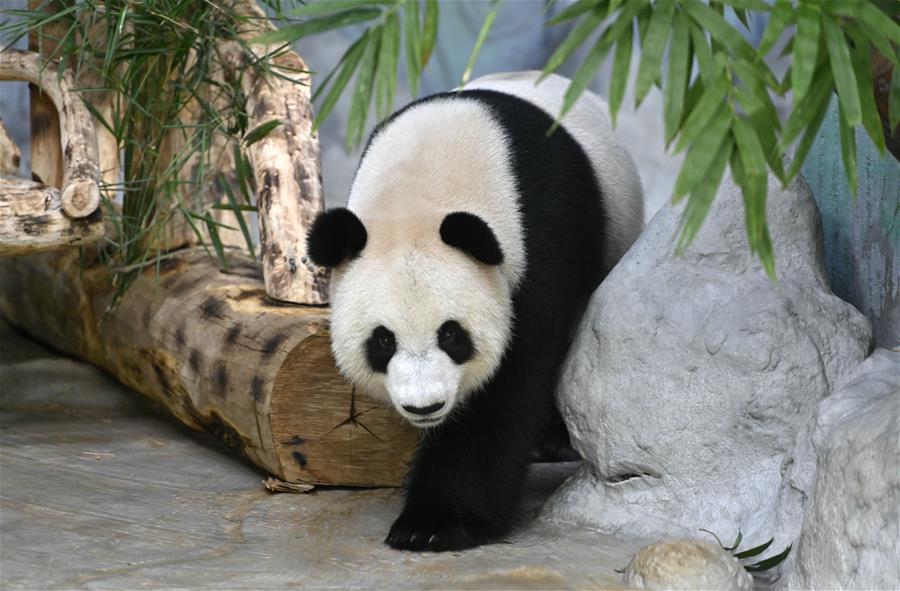 ??? ?????? ???? ????? ????? ?????? ?? ?????? ?????? ???????