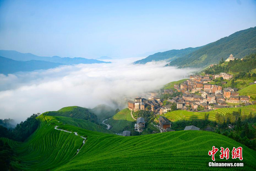 ?????? ??????? ???? ??????... ??? ????? ?? ?????? ???????