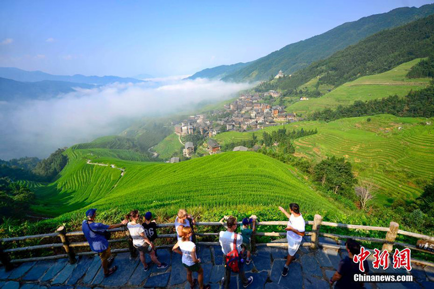 ?????? ??????? ???? ??????... ??? ????? ?? ?????? ???????