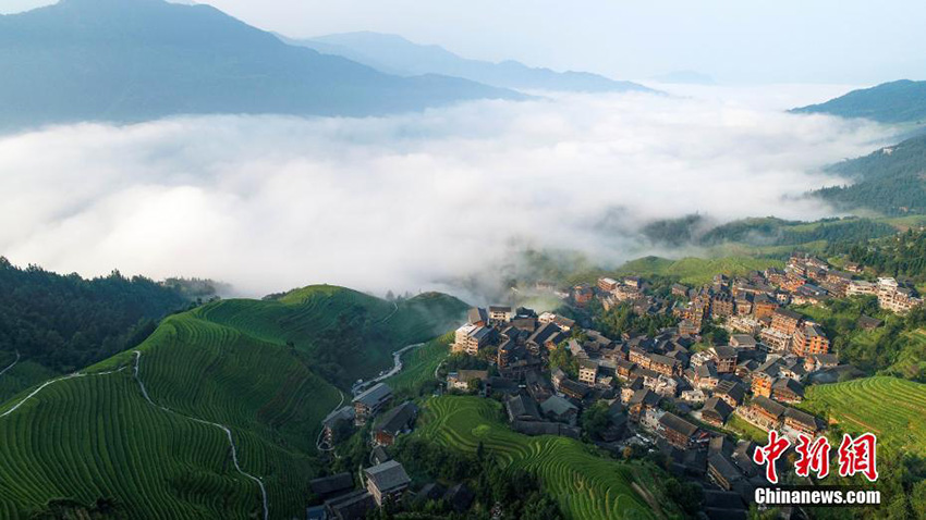 ?????? ??????? ???? ??????... ??? ????? ?? ?????? ???????