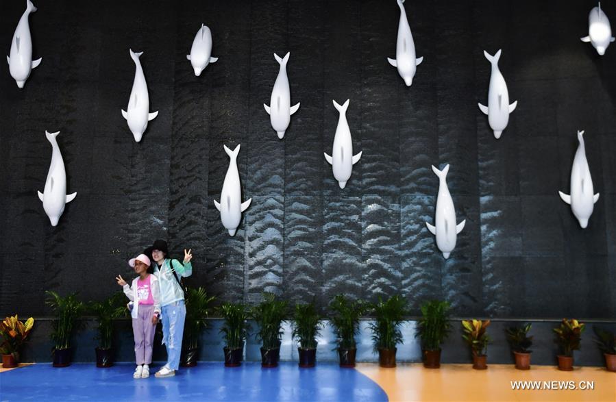 ?????? ???? ??? ???? ???????? ??????? ?? ??? ????? ????? ???? ?????