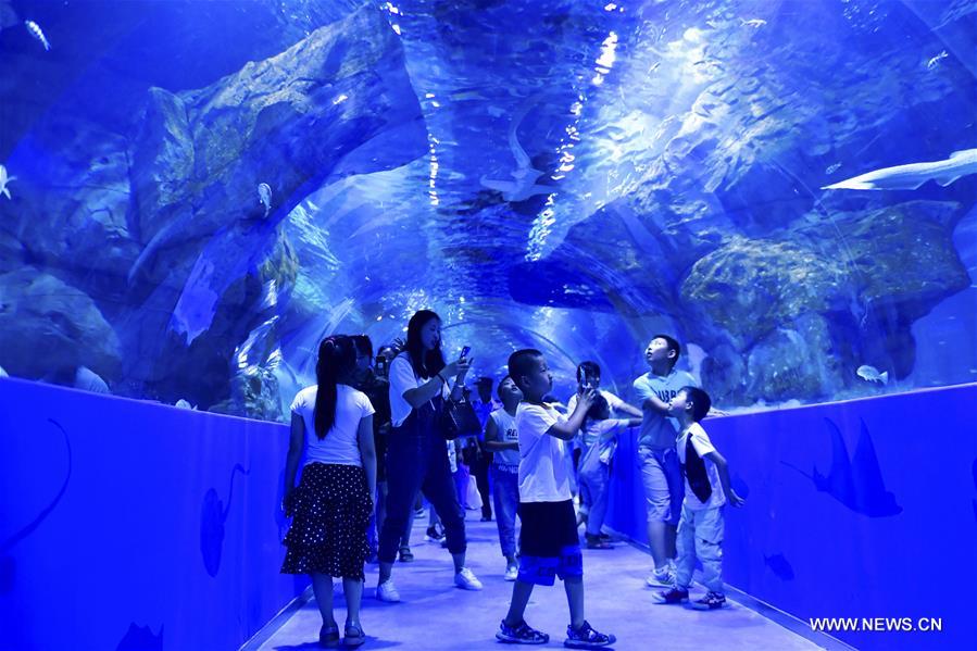 ?????? ???? ??? ???? ???????? ??????? ?? ??? ????? ????? ???? ?????