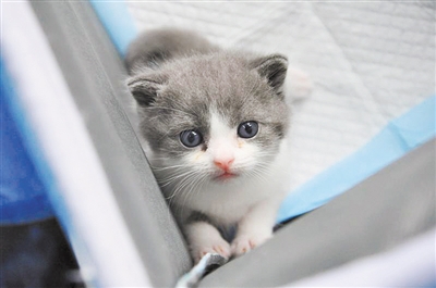 ????? ??? ??? ??????? ?? ?????