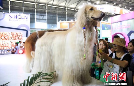 ??????: ???? ????????? ??????? ??????? ????????