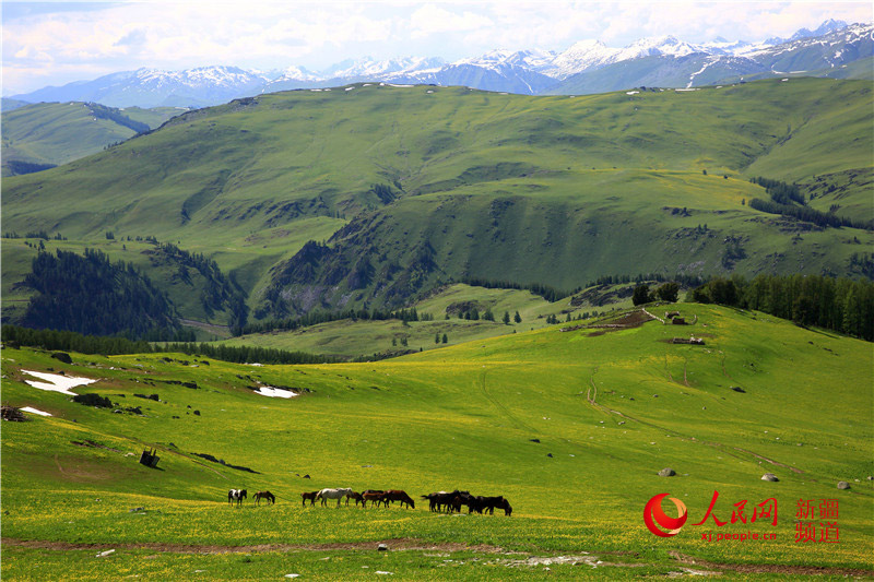 ??? ????? ?? ????????