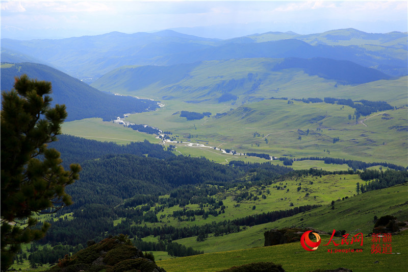 ??? ????? ?? ????????