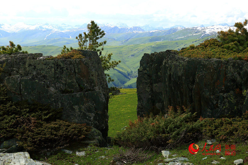 ??? ????? ?? ????????