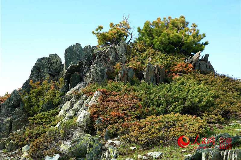 ??? ????? ?? ????????