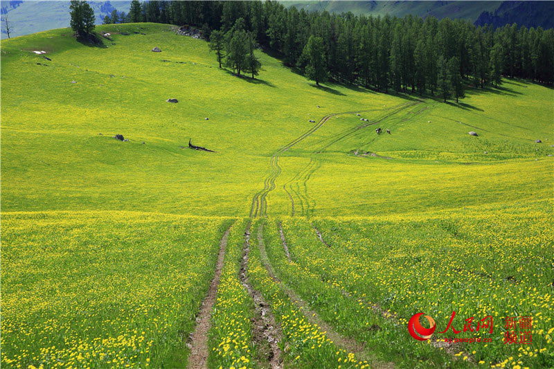 ??? ????? ?? ????????