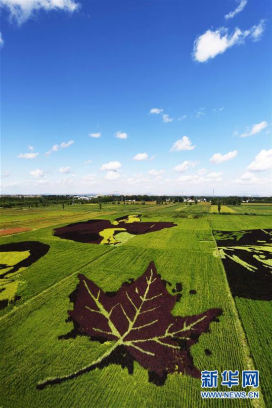 ????????: ????? ???? ?????? ?? ???? ????? ???? ?????? ?? ????? ?????