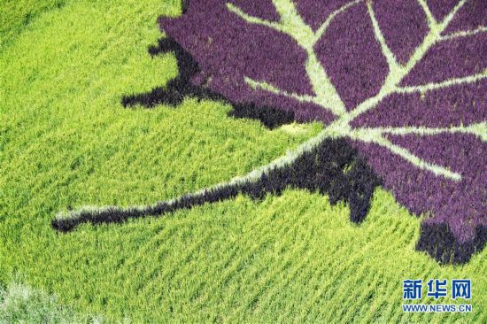 ????????: ????? ???? ?????? ?? ???? ????? ???? ?????? ?? ????? ?????