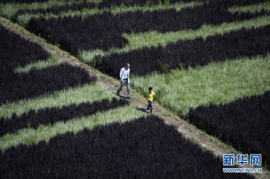 ????????: ????? ???? ?????? ?? ???? ????? ???? ?????? ?? ????? ?????