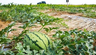 ????? ?????? ?????? ?? ????? ??????? ????????? ?? ???????