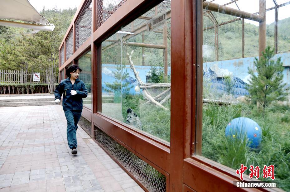 ???? ???? ??????? ??  ??? ?????? ?? ???? ?????-????????