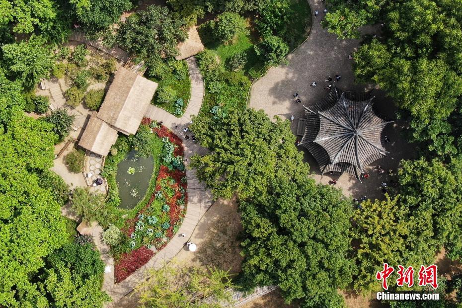 ??????? ?????? ??????? ???????? ?? ?????