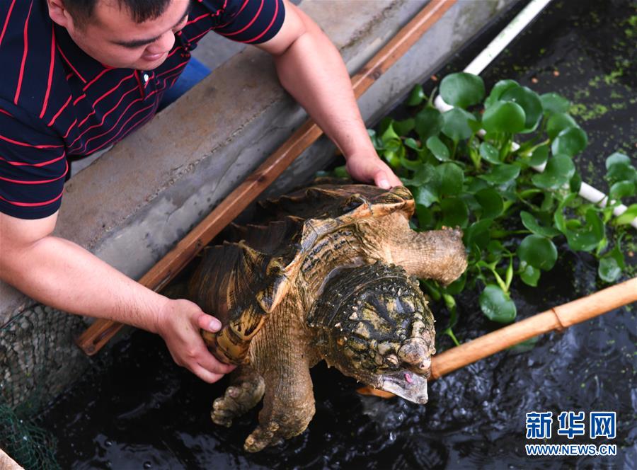 ??????: ????? ????? ??  