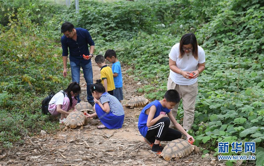 ??????: ????? ????? ??  