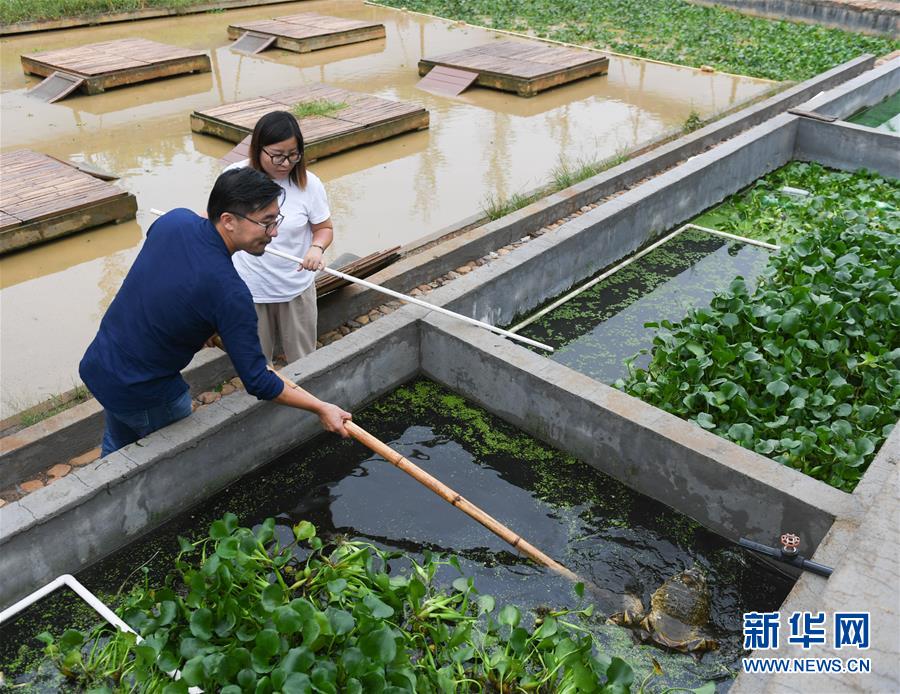 ??????: ????? ????? ??  