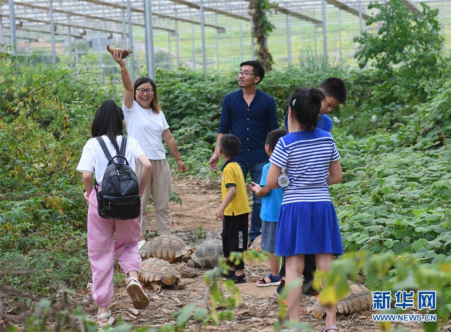 ??????: ????? ????? ??  