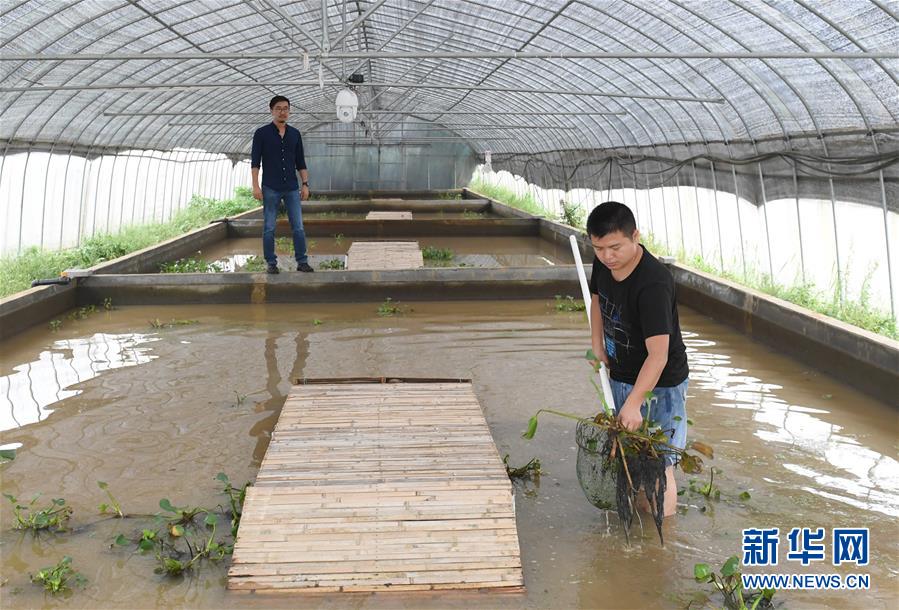 ??????: ????? ????? ??  